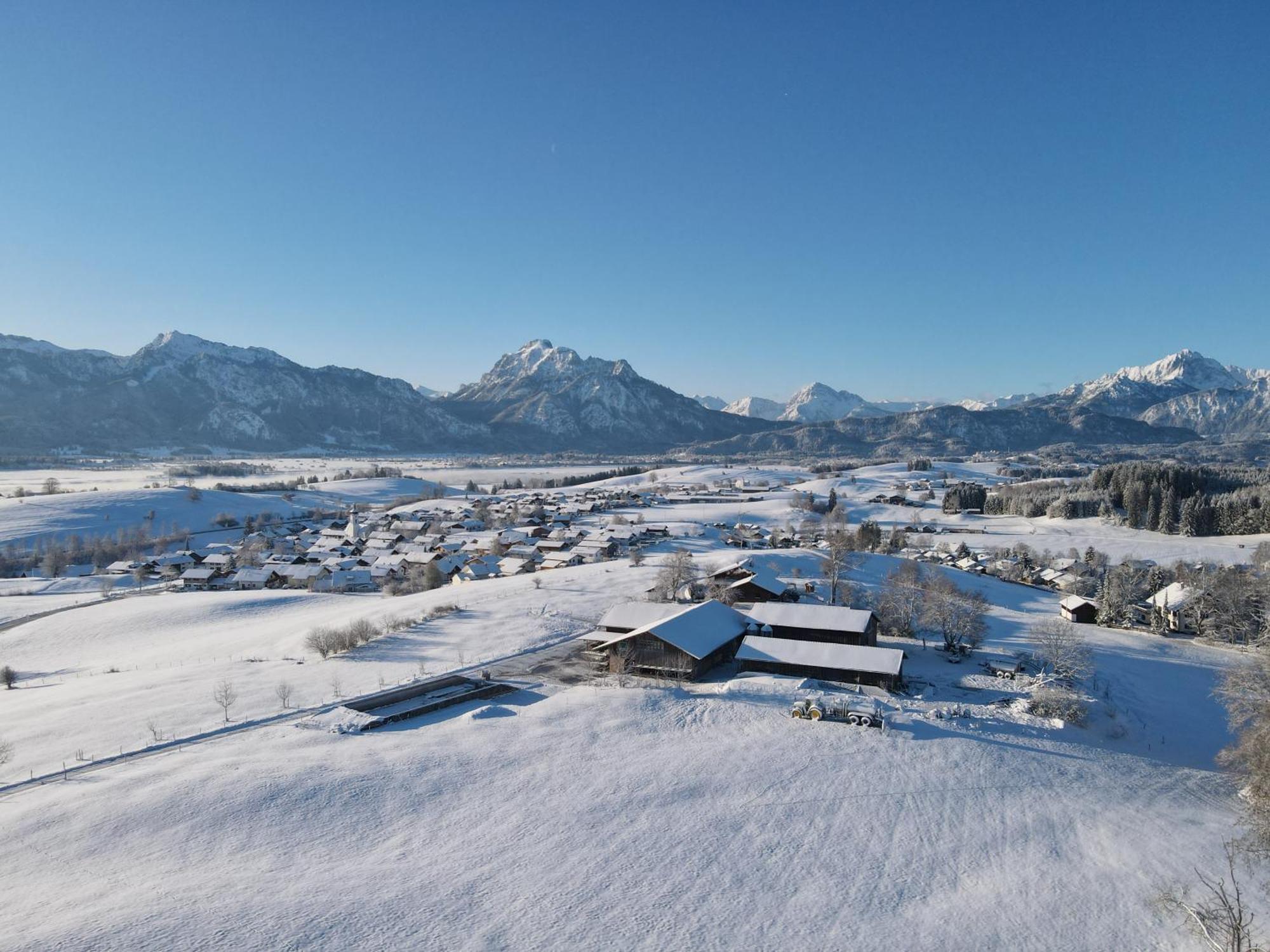 Chalet - Ferienwohnungen - Biohof Stoeger - Panoramasuedbalkon - Grandiose Aussicht Auf See, Berge Und Schloss Neuschwanstein Rieden am Forggensee Exterior photo
