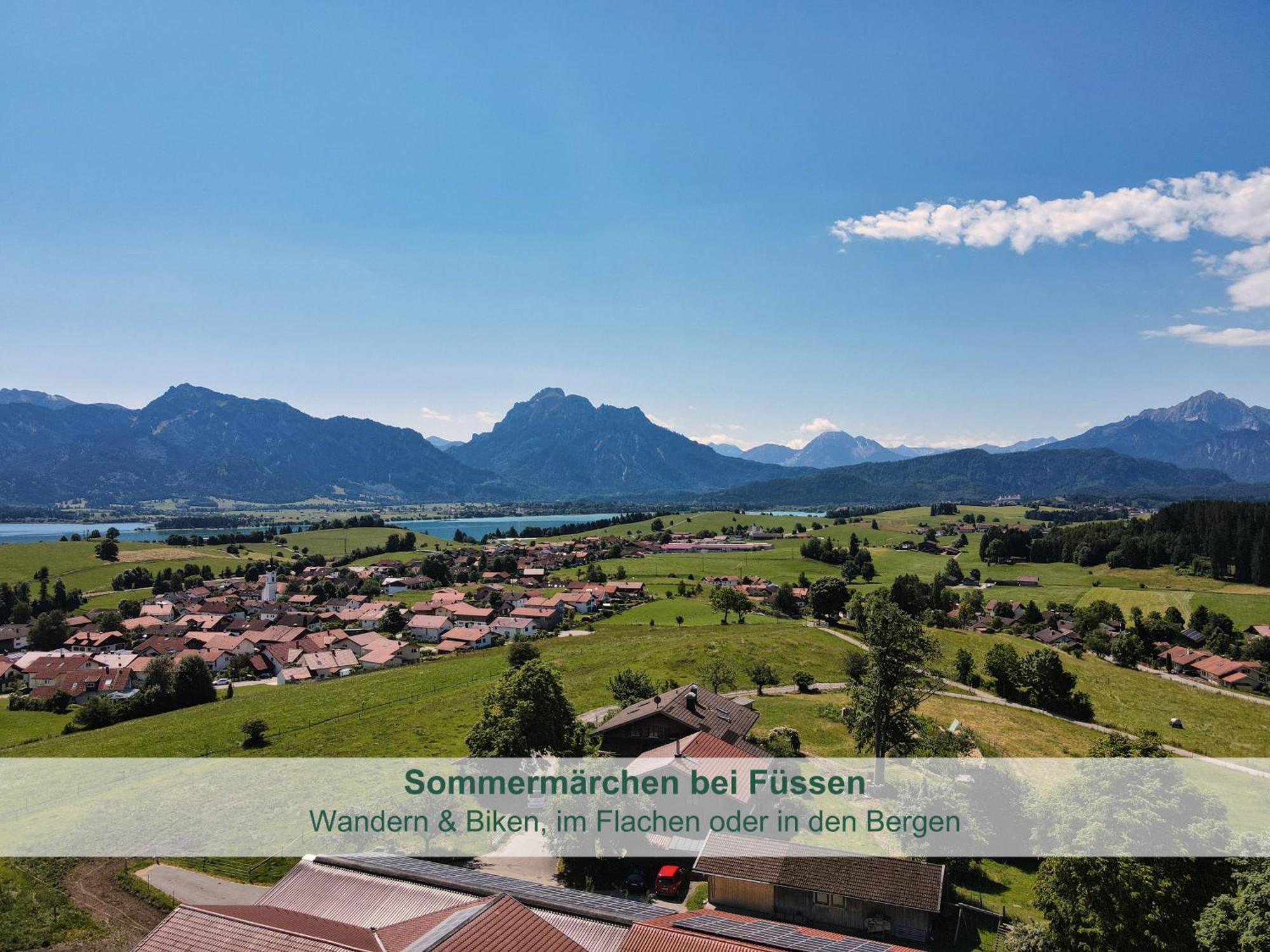 Chalet - Ferienwohnungen - Biohof Stoeger - Panoramasuedbalkon - Grandiose Aussicht Auf See, Berge Und Schloss Neuschwanstein Rieden am Forggensee Exterior photo